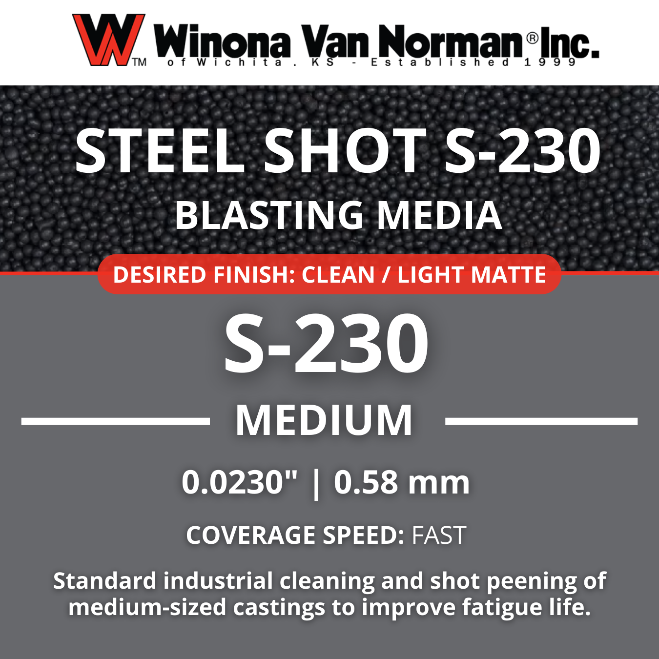 winona-van-norman-230-steel-shot-automotive-engine-block-cleaning.jpg